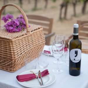 Pícnic entre viñedos