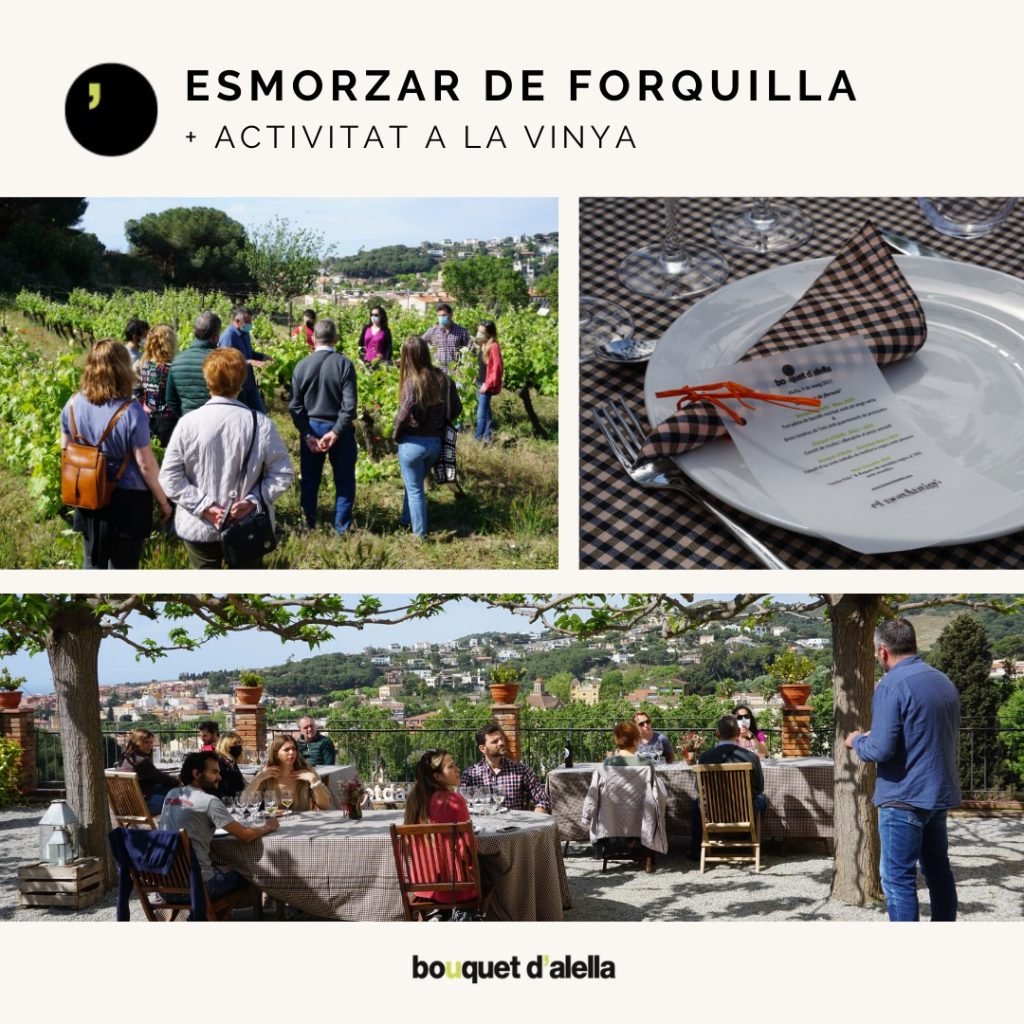 Esmorzar de forquilla + Activitat de vinya